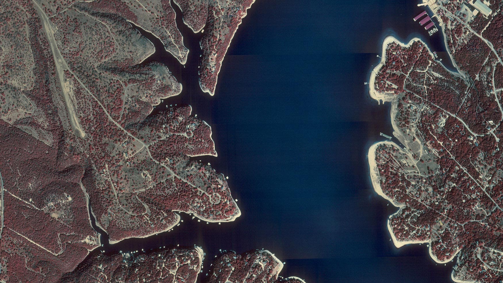 1996 - texas TOP image